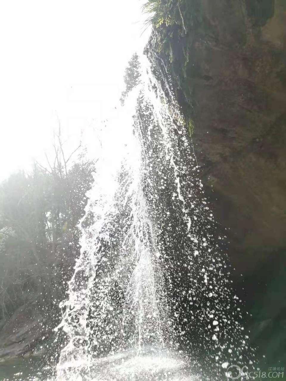 救援男孩贝利