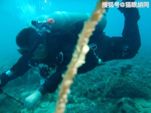双囍临门!双军人夫妻同时立功