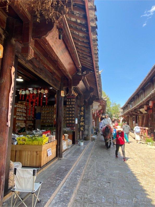 网红白狐狸遭遇“滑铁卢”，独自躲在角落里生闷气