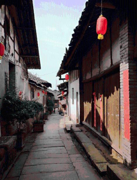 逃离天鹅森林